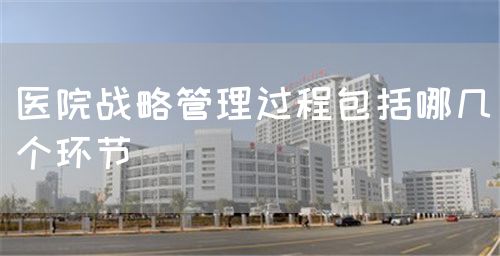 醫(yī)院戰(zhàn)略管理過程包括哪幾個環(huán)節(jié)(圖1)