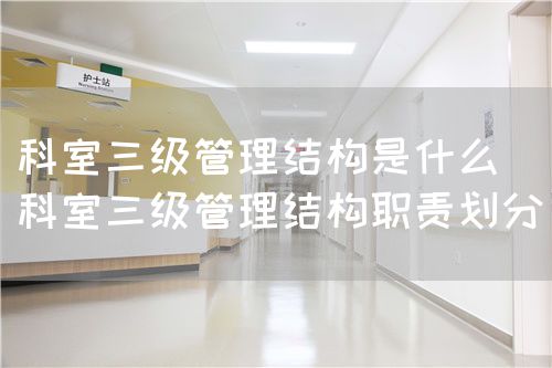 科室三級管理結(jié)構(gòu)是什么（科室三級管理結(jié)構(gòu)職責劃分）(圖1)