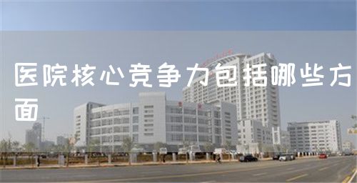 醫(yī)院核心競爭力包括哪些方面(圖1)