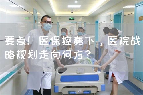 要點(diǎn)！醫(yī)保控費(fèi)下，醫(yī)院戰(zhàn)略規(guī)劃走向何方？(圖1)