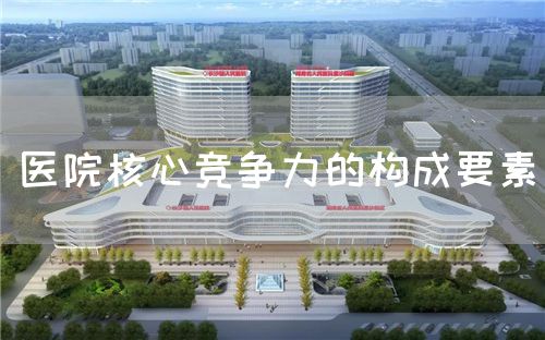 醫(yī)院核心競爭力的構(gòu)成要素(圖1) 醫(yī)院核心競爭力的構(gòu)成要素(圖1)