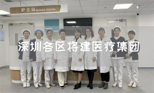 深圳各區(qū)將建醫(yī)療集團(tuán)(圖1)