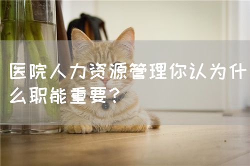 醫(yī)院人力資源管理你認(rèn)為什么職能重要？(圖1)