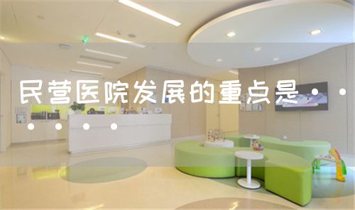 民營(yíng)醫(yī)院發(fā)展的重點(diǎn)是······(圖1)