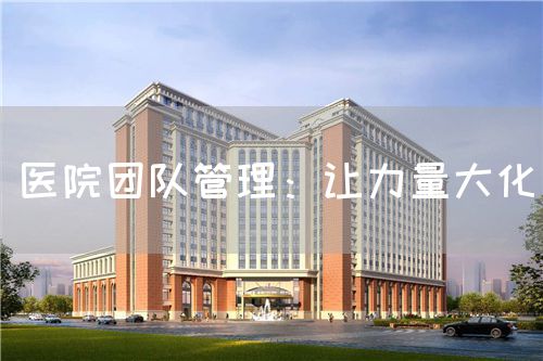 醫(yī)院團隊管理：讓力量大化(圖1)