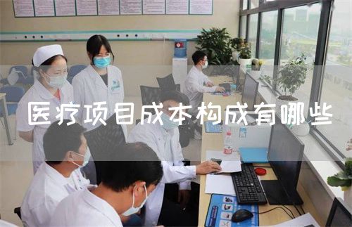醫(yī)療項(xiàng)目成本構(gòu)成有哪些(圖1)