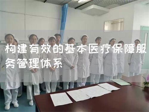 構(gòu)建有效的基本醫(yī)療保障服務管理體系(圖1) 構(gòu)建有效的基本醫(yī)療保障服務管理體系(圖1)