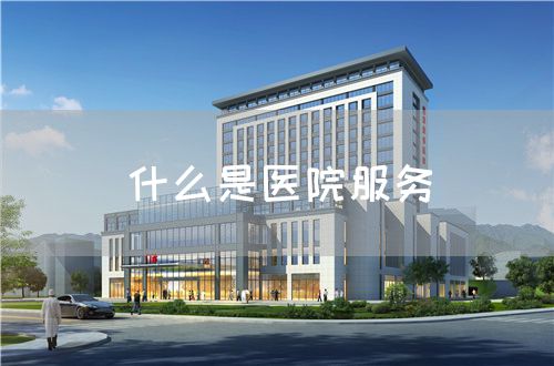 什么是醫(yī)院服務(圖1) 什么是醫(yī)院服務(圖1)