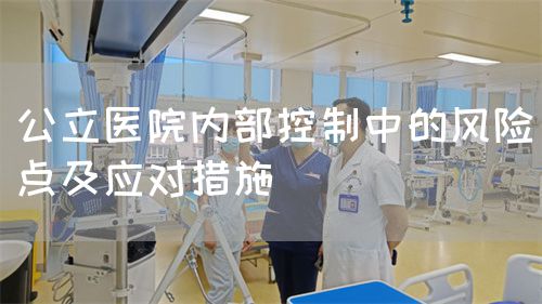 公立醫(yī)院內(nèi)部控制中的風(fēng)險(xiǎn)點(diǎn)及應(yīng)對(duì)措施(圖1)