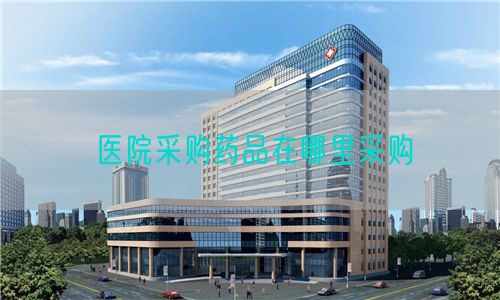 醫(yī)院采購(gòu)藥品在哪里采購(gòu)(圖1)