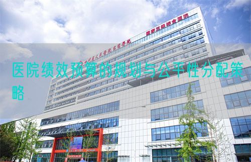 醫(yī)院績效預(yù)算的規(guī)劃與公平性分配策略(圖1)