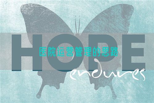 醫(yī)院運(yùn)營(yíng)管理的思路(圖1)