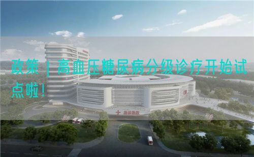 政策｜高血壓糖尿病分級診療開始試點(diǎn)啦！(圖1)