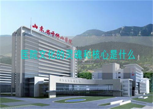 醫(yī)院文化的靈魂和核心是什么(圖1)