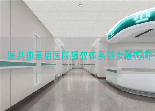 醫(yī)共體基層醫(yī)院績效體系的發(fā)展方向(圖1)